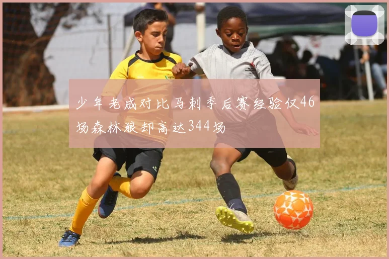 少年老成对比马刺季后赛经验仅46场森林狼却高达344场